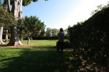 Enlarge photo 32