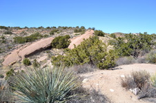 Enlarge photo 13
