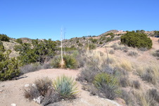 Enlarge photo 14