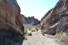 Enlarge photo 20