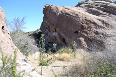 Enlarge photo 24
