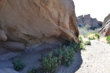 Enlarge photo 25