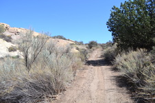 Enlarge photo 7