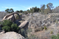 Enlarge photo 16