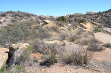 Enlarge photo 21