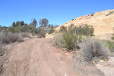 Enlarge photo 22