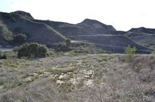 Enlarge photo 28