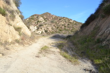 Enlarge photo 31