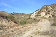 Enlarge photo 32