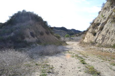 Enlarge photo 33