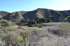 Enlarge photo 34