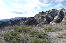 Enlarge photo 36