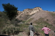 Enlarge photo 54