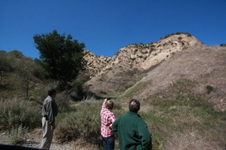 Enlarge photo 53