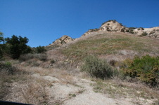 Enlarge photo 51