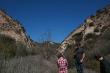 Enlarge photo 50