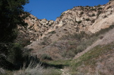 Enlarge photo 49