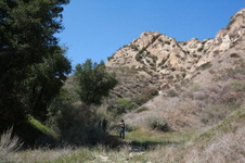 Enlarge photo 48