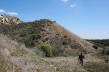 Enlarge photo 47