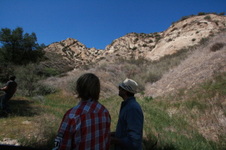 Enlarge photo 46