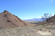 Enlarge photo 3
