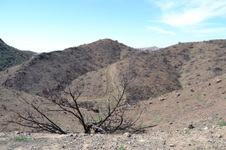 Enlarge photo 11