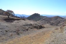 Enlarge photo 17