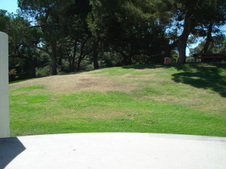 Enlarge photo 121