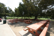 Enlarge photo 63