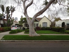 Exterior Lawn Sale