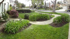 Enlarge photo 10