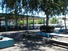 Enlarge photo 49