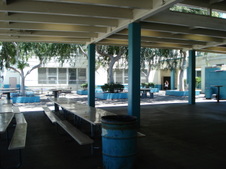 Enlarge photo 53