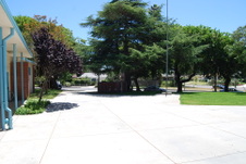 Enlarge photo 6