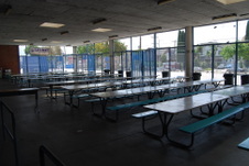 Enlarge photo 45