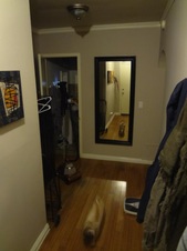Enlarge photo 19
