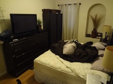 Enlarge photo 30
