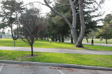 Enlarge photo 18