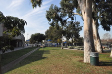 Stoner Park