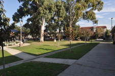 Enlarge photo 29