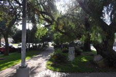 Enlarge photo 33