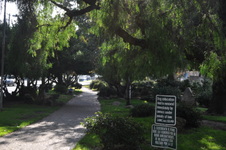 Enlarge photo 34