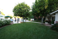 Enlarge photo 11
