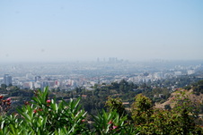 Enlarge photo 44