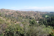 Enlarge photo 59