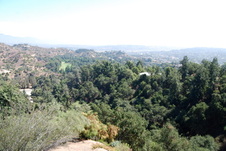 Enlarge photo 60