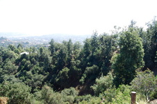 Enlarge photo 61
