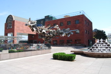 MOCA