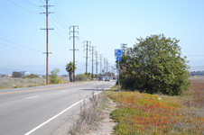 Enlarge photo 13