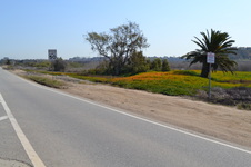 Enlarge photo 16